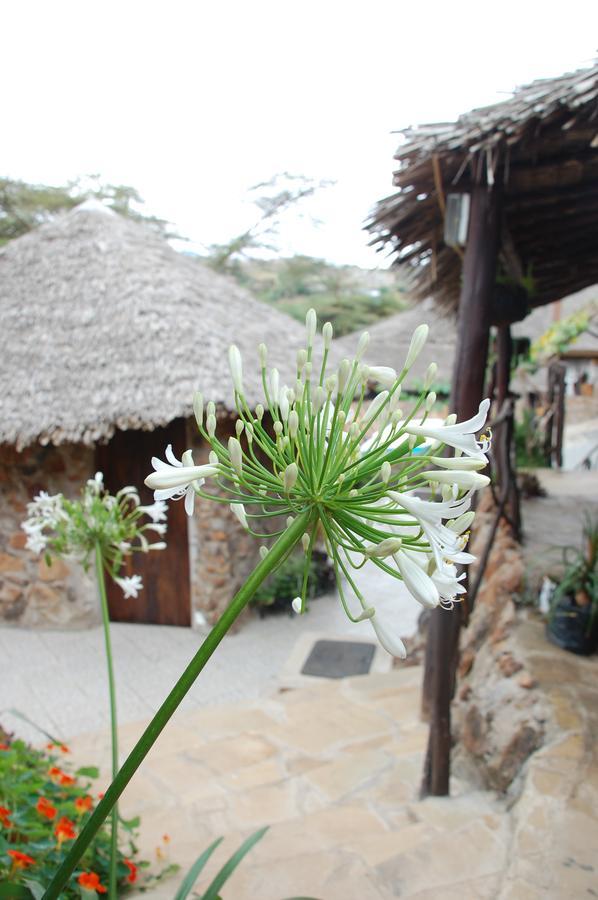 Osoita Lodge Nairobi Bagian luar foto